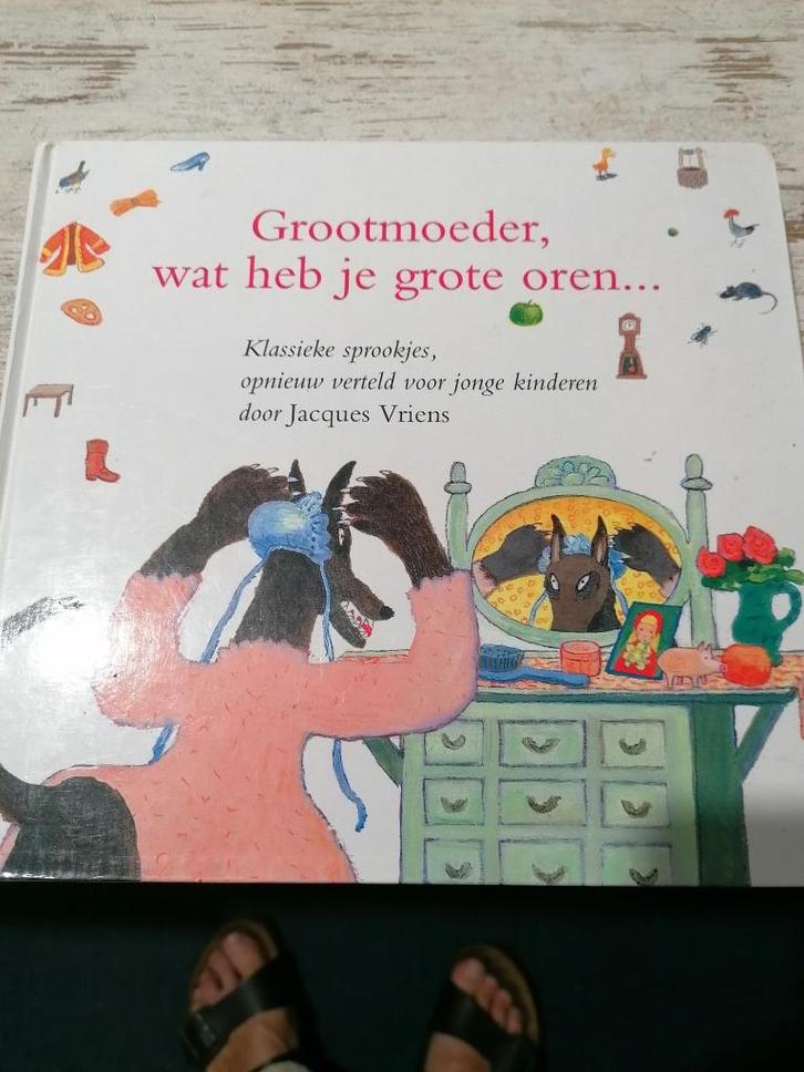 Grootmoeder, wat heb je grote oren sprookjes opnieuw verteld, Boeken, Overige Boeken, Zo goed als nieuw, Ophalen of Verzenden