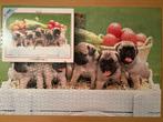 Puzzel 1000 stukjes Mopshonden Mops Pug Pugs honden Japan, Ophalen of Verzenden, 500 t/m 1500 stukjes, Gebruikt, Legpuzzel