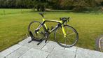 Cipollini RB 1000 Dura Ace afgemonteerd, Gebruikt, Carbon, Meer dan 20 versnellingen, 53 tot 57 cm