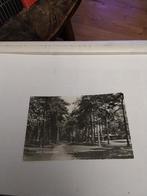 ZEIST. PADVINDERSLAANTJE, Ophalen of Verzenden, Voor 1920, Utrecht