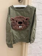 Leuke trui met bever draagmaat 116, Kinderen en Baby's, Kinderkleding | Maat 116, Ophalen of Verzenden, Zo goed als nieuw, Meisje