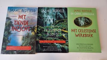 James Redfield - De Celestijnse Belofte, Het tiende inzicht  beschikbaar voor biedingen