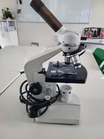 Euromex microscoop, Audio, Tv en Foto, Optische apparatuur | Microscopen, Gebruikt, 400x tot 1000x, Biologische microscoop, Ophalen