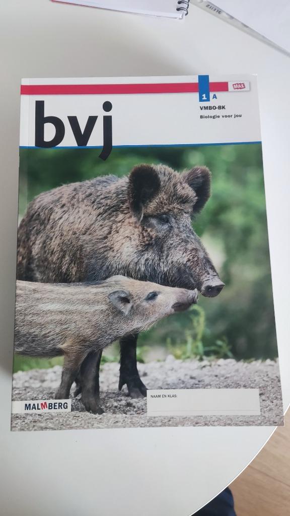 Schoolboeken VMBO biologie natuurkunde scheikunde, Boeken, Schoolboeken, Zo goed als nieuw, Biologie, VMBO, Ophalen