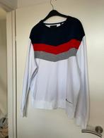 Heren trui, Ophalen of Verzenden, Zo goed als nieuw, Maat 56/58 (XL), Wit