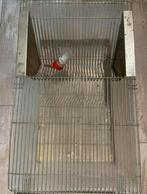 Laboratorium kweekbak t4, Minder dan 60 cm, Overige typen, Ophalen of Verzenden, Zo goed als nieuw
