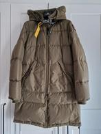 Originele parajumpers long bear winterjas, Kleding | Dames, Ophalen, Maat 42/44 (L), Parajumpers, Zo goed als nieuw
