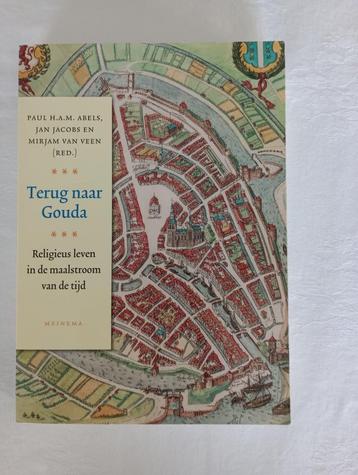 TERUG NAAR GOUDA  Religieus leven in de maalstroom van de ti beschikbaar voor biedingen