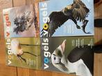 6 Tijdschriften Vogels - Natuur en Vogelbescherming, Boeken, Tijdschriften en Kranten, Ophalen of Verzenden, Gelezen, Wetenschap en Natuur