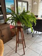 romantische plantentafel, Ophalen, Gebruikt