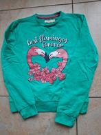 Leuke flamingo sweater, maat 140. Orange Stars, Kinderen en Baby's, Kinderkleding | Maat 140, Ophalen of Verzenden, Zo goed als nieuw