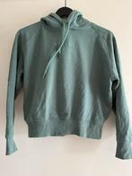 Leuke hoodie van raizzed maat xs, Ophalen of Verzenden, Zo goed als nieuw, Trui of Vest