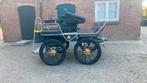 Men/recreatiewagen 1-2 span, Gebruikt, Marathonwagen, Paard of Pony