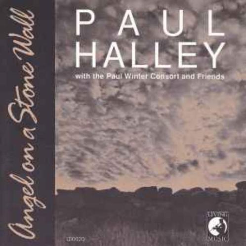 Paul Halley, Cd's en Dvd's, Cd's | Jazz en Blues, Gebruikt, Blues, Verzenden