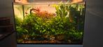 Juwel 60L aquarium|RGB light|Furniture|Co2|Live stock, Ophalen, Gebruikt