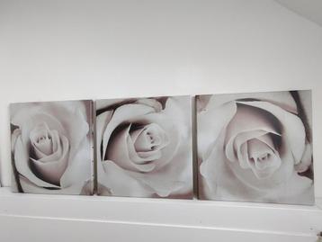 3-luik Schilderij Roos 150x50cm beschikbaar voor biedingen