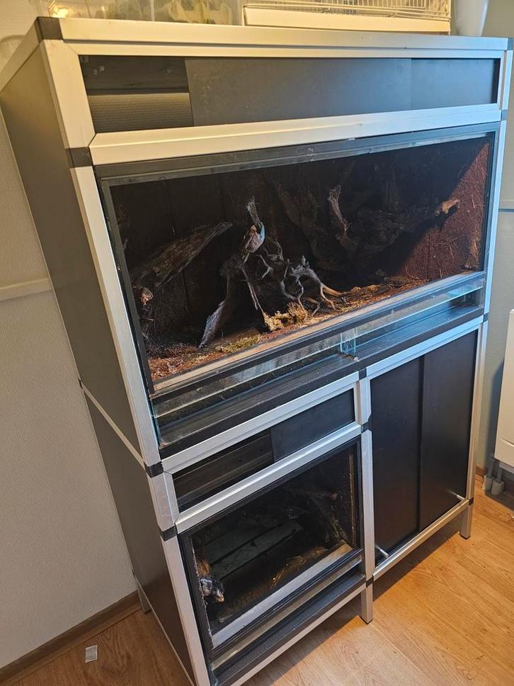 Paludarium, Dieren en Toebehoren, Reptielen en Amfibieën | Toebehoren, Zo goed als nieuw, Ophalen