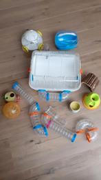 Hamster kooi met veel attributen, Kooi, Gebruikt, Minder dan 75 cm, Hamster