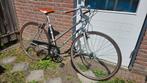 Batavus Champion Toer, Ophalen, Batavus, Minder dan 10 versnellingen, 28 inch