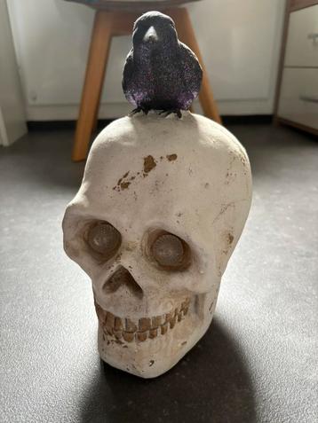 Skull lamp - schedel tafellamp beschikbaar voor biedingen