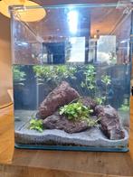 Aquarium 30 L Dennerle Nano Cube, Ophalen, Nieuw
