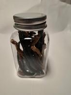 Garnalen en kreeften voer zelfgemaakt, Dieren en Toebehoren, Ophalen, Nieuw, Overige typen