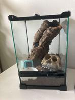 Terrarium 20x20x30 cm, Dieren en Toebehoren, Reptielen en Amfibieën | Toebehoren, Ophalen, Nieuw, Terrarium of Paludarium