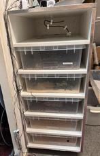 Slangenrack, Dieren en Toebehoren, Ophalen, Gebruikt
