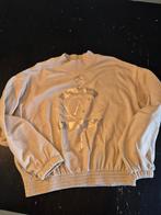 harry Potter sweater maat 146/152, Ophalen of Verzenden, Zo goed als nieuw, Trui of Vest
