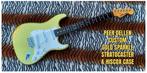 Peer Dellen Custom 'Gold Sparkle Stratocaster'/& Hiscox case, Muziek en Instrumenten, Snaarinstrumenten | Gitaren | Elektrisch