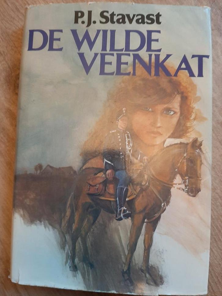 De Wilde veenkat van p.j. stavast, Boeken, Streekboeken en Streekromans, Zo goed als nieuw, Noord-Brabant, Ophalen of Verzenden