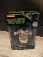 TMNT Raph in Disguise Nickelodeon, Ophalen of Verzenden, Nieuw