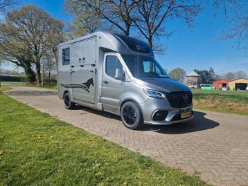 Mercedes Sprinter STX automatic with Pro-Safety Stallion lay beschikbaar voor biedingen