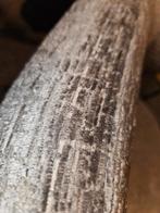 Fauteuil Taza passe-partout, Huis en Inrichting, Fauteuils, Ophalen of Verzenden, Nieuw, Stof