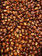 Lekkere tamme kastanjes te koop, uit eigen tuin €3 per kilo, Ophalen of Verzenden