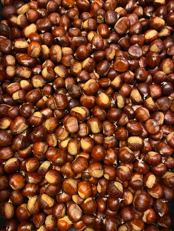 Lekkere tamme kastanjes te koop, uit eigen tuin €3 per kilo beschikbaar voor biedingen