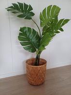 Kunstplant Monstera (IKEA FEJKA stijl) – ±100 cm hoog, Ophalen, Zo goed als nieuw