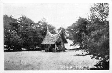 (388-390-043) Driebergen-Rijsenburg Hutje in de duinen beschikbaar voor biedingen