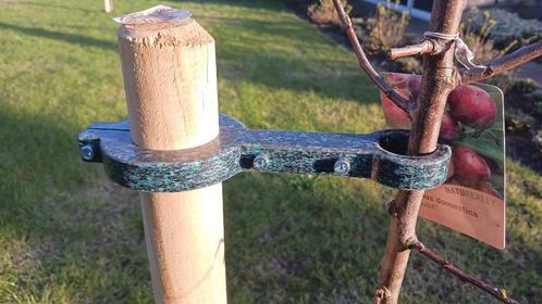 Kunststof Boomondersteuner voor Jonge Fruitbomen, Tuin en Terras, Overige Tuin en Terras, Nieuw, Ophalen of Verzenden