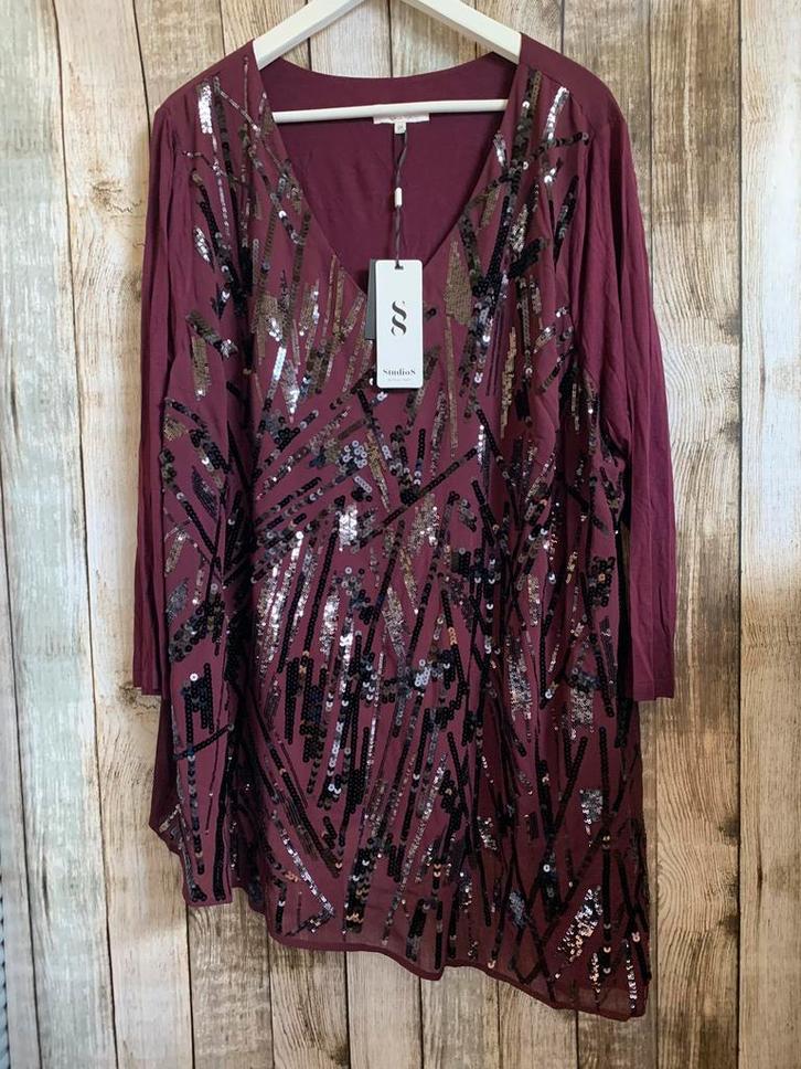 Super mooi truitje van Studio 8 by Phase Eight (Maat 24), Kleding | Dames, Grote Maten, Nieuw, Blouse of Tuniek, Overige kleuren