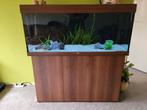 JUWEL RIO 120cm/240 ltr compleet!!, Dieren en Toebehoren, Vissen | Aquaria en Toebehoren, Ophalen of Verzenden, Verlichting of Verwarming