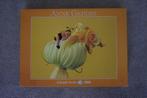 Anne Geddes - Klein hummeltje 1000 st. Nummer 57956, Ophalen, 500 t/m 1500 stukjes, Gebruikt, Legpuzzel