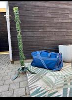 Gratis Kerstboom - Af te halen!, Diversen, Kerst, Ophalen, Gebruikt