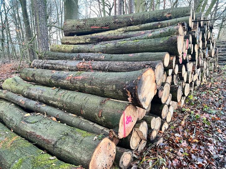 brandhout / stamhout, Tuin en Terras, Haardhout, Stammen, Eikenhout, 6 m³ of meer, Verzenden