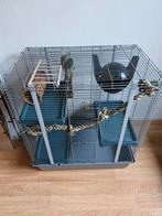 Knaagdierenkooi, Dieren en Toebehoren, Knaagdieren en Konijnen | Hokken en Kooien, Ophalen, Kooi, Gebruikt, 60 tot 90 cm