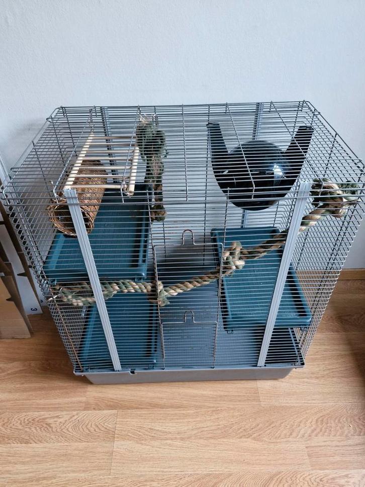 Knaagdierenkooi, Dieren en Toebehoren, Knaagdieren en Konijnen | Hokken en Kooien, Gebruikt, Kooi, 60 tot 90 cm, 75 tot 110 cm