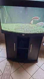 aquarium compleet  200L, Dieren en Toebehoren, Ophalen, Gebruikt, Gevuld zoetwateraquarium