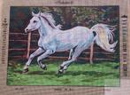 Cado voorbedrukt borduurstramien paard in galop  907, Hobby en Vrije tijd, Borduren en Borduurmachines, Ophalen of Verzenden, Nieuw