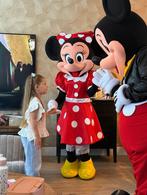 mijnparty, Hobby en Vrije tijd, Feestartikelen | Verhuur, Ophalen of Verzenden, Zo goed als nieuw, Geboorte of Huwelijk