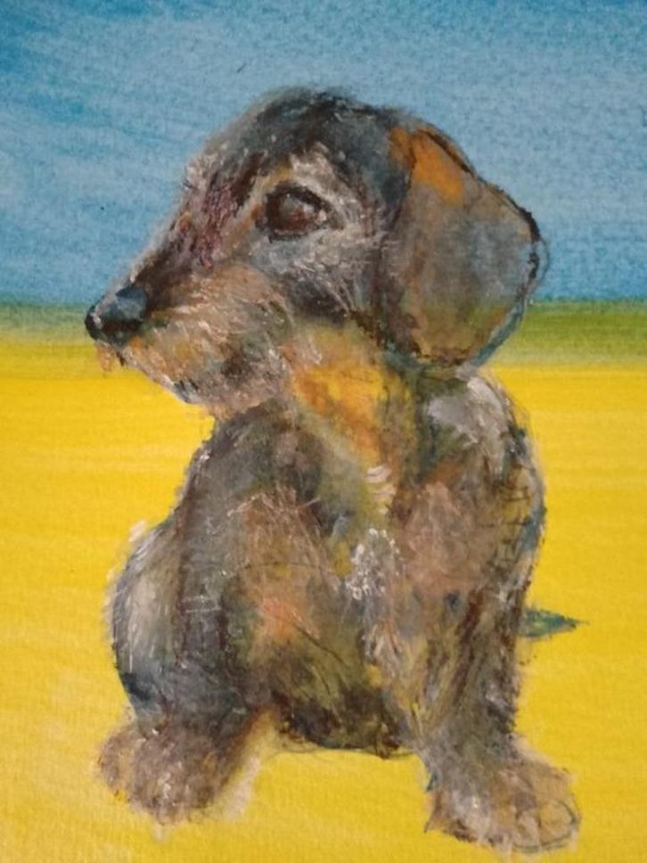 HERPLAATSSITE GETECKELDE TECKELS., Dieren en Toebehoren, Honden | Teckels en Dashonden, Meerdere dieren, Particulier, Meerdere